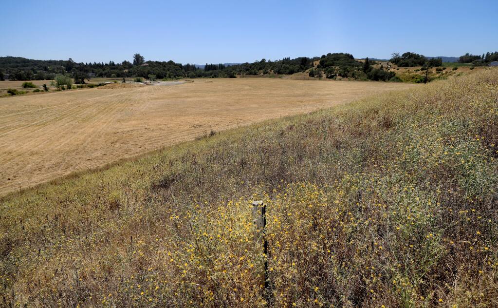 The site of a proposed 352-unit housing project and a luxury hotel on Healdsburg's north end, Wednesday, July 31, 2019. (Kent Porter / The Press Democrat)