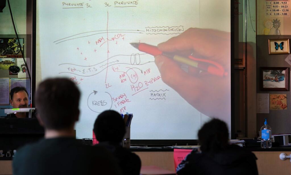 Montgomery High School science teacher Erick Roldan instructs students during an sophomore honors biology class, Friday, Jan. 25, 2019, which includes freshman. (Kent Porter / Press Democrat) 2019