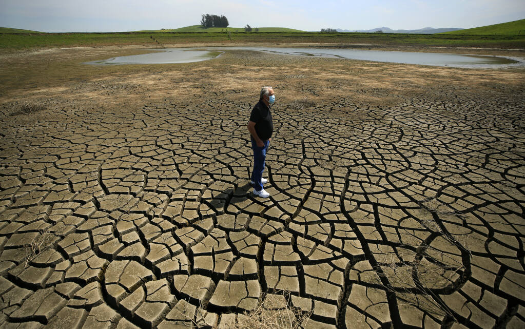 As Sonoma County and California continue to sink deeper in to drought, Don DeBernardi’s irrigation ponds are at critical levels.  He relies on a trio of ponds to provide water for his dairy herd in the Two Rock Valley west of Petaluma, Friday, April 2, 2021.  (Kent Porter / The Press Democrat) 2021