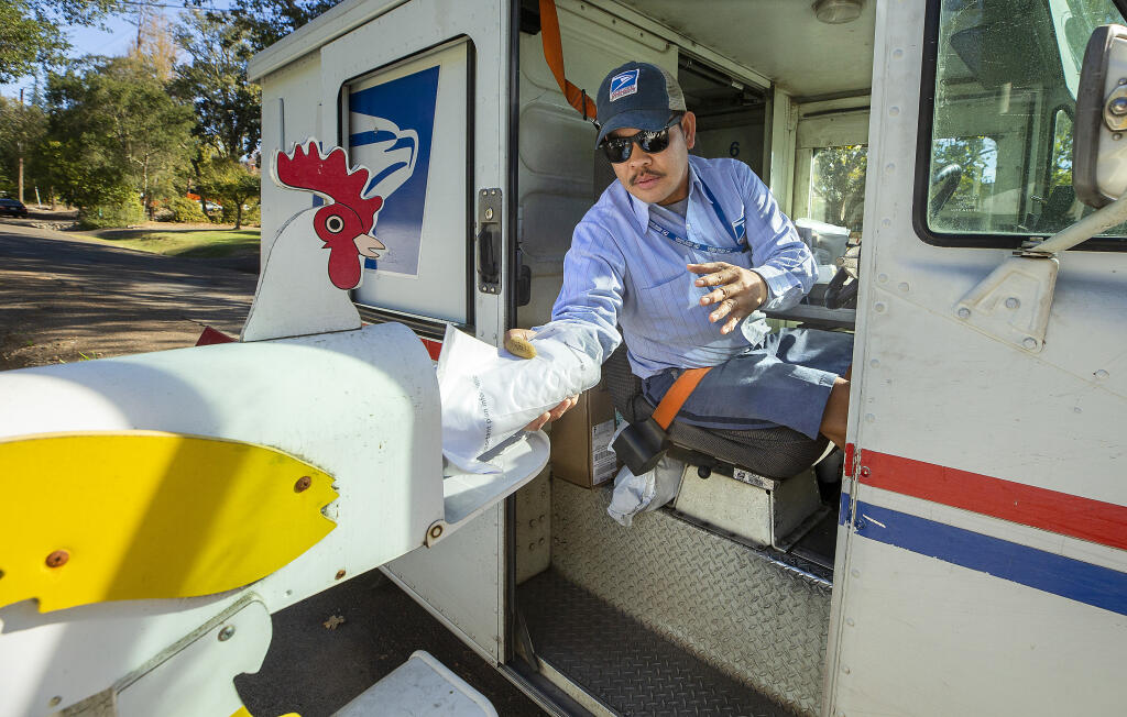 Santa Rosa mailman Henry Cao delivers packages along his route in Northeast Santa Rosa on Tuesday, Nov. 10, 2020. (John Burgess / The Press Democrat)