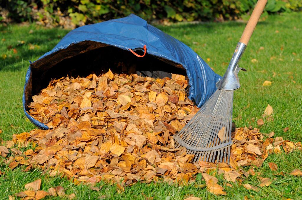 Rake proponents argue their leaf-gathering tool of choice is quieter, environmentally friendly and almost as efficient as blowers.