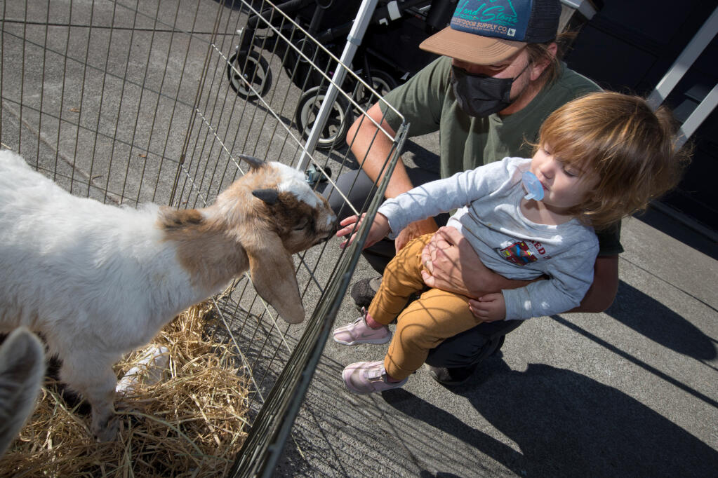 Visitor, Eric Smith, of Santa Rosa, holds his daughter, Leona, 1, as she meets a young goat during a pancake social at Goatlandia, in Santa Rosa, Calif., on Saturday, October 16, 2021. (Photo by Darryl Bush / For The Press Democrat)