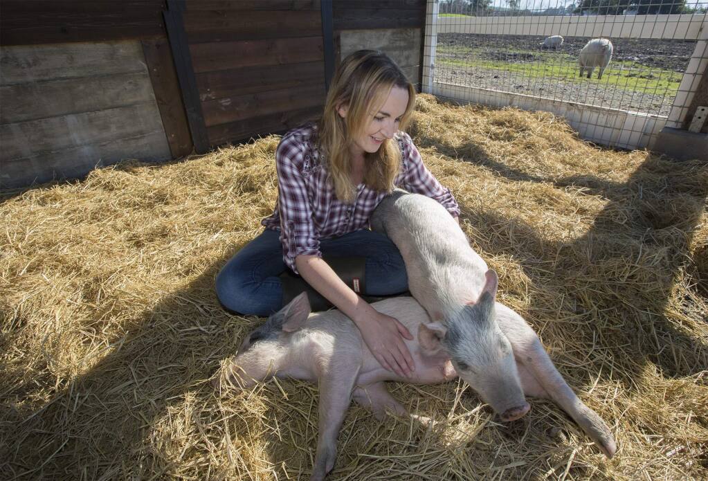 Tracy Vogt, the inspiration behind Charlie's Acres, a farm devoted to rescuing farm animals, plays with her friendly piglets. (Photo by Robbi Pengelly/Index-Tribune)