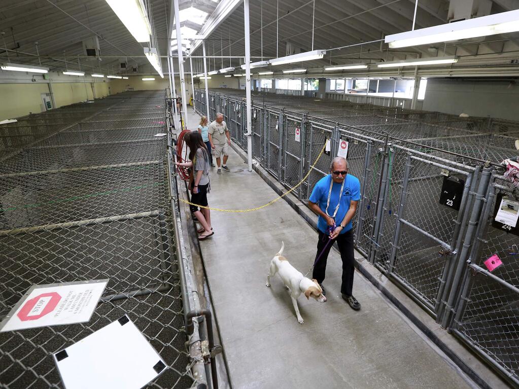 The main room for dogs at the Sonoma County animal shelter. (PD FILE)