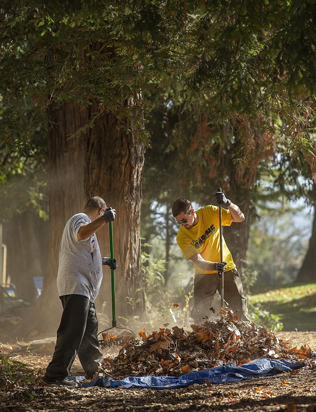 Volunteer and local resident David Magallon, left, joined county employee Fraser Ross in efforts to removes leaves and add mulch at Martin Luther King Jr. park in Santa Rosa on Wednesday. Hundreds of volunteers fanned out across Sonoma County for the annual Day of Caring. (photo by John Burgess/The Press Democrat)