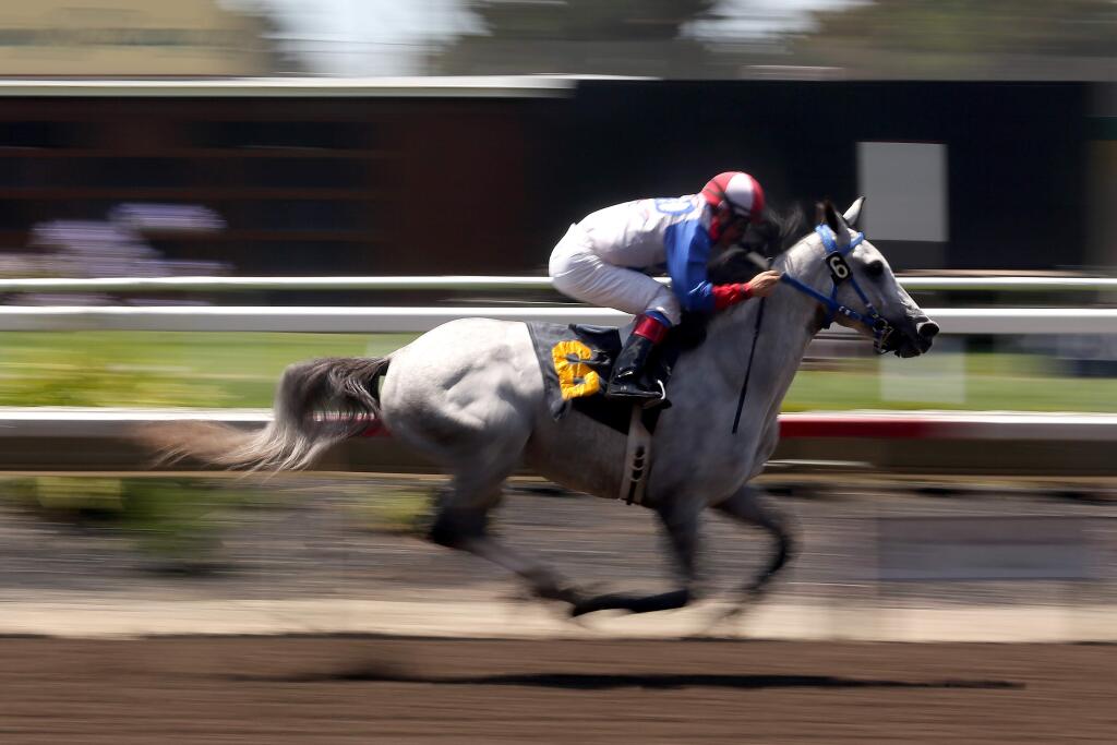 Hugo Herrera races Es Mi Cielo across the finish line in front of the pack to take first place during the first day of horse racing at the Sonoma County Fair in Santa Rosa, Thursday, July 30, 2015. (CRISTA JEREMIASON / The Press Democrat)