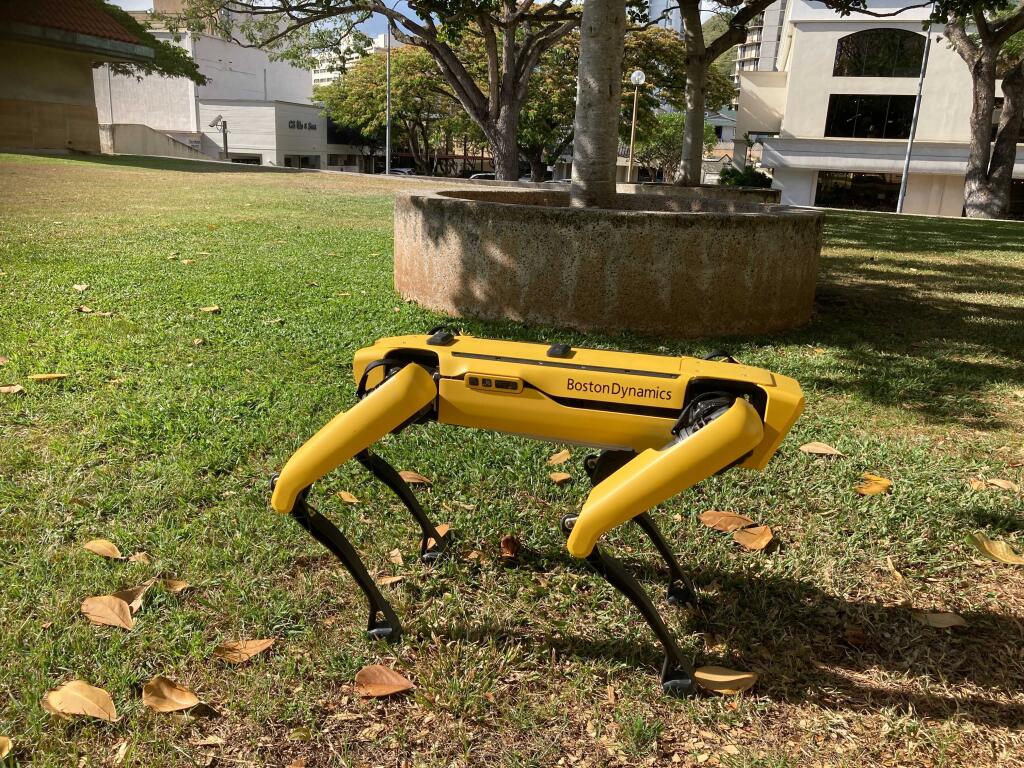 Spot, a robotic Honolulu police dog, stands outside department headquarters during a demonstration to reporters Friday May 14, 2021. (AP Photo/Jennifer Sinco Kelleher)