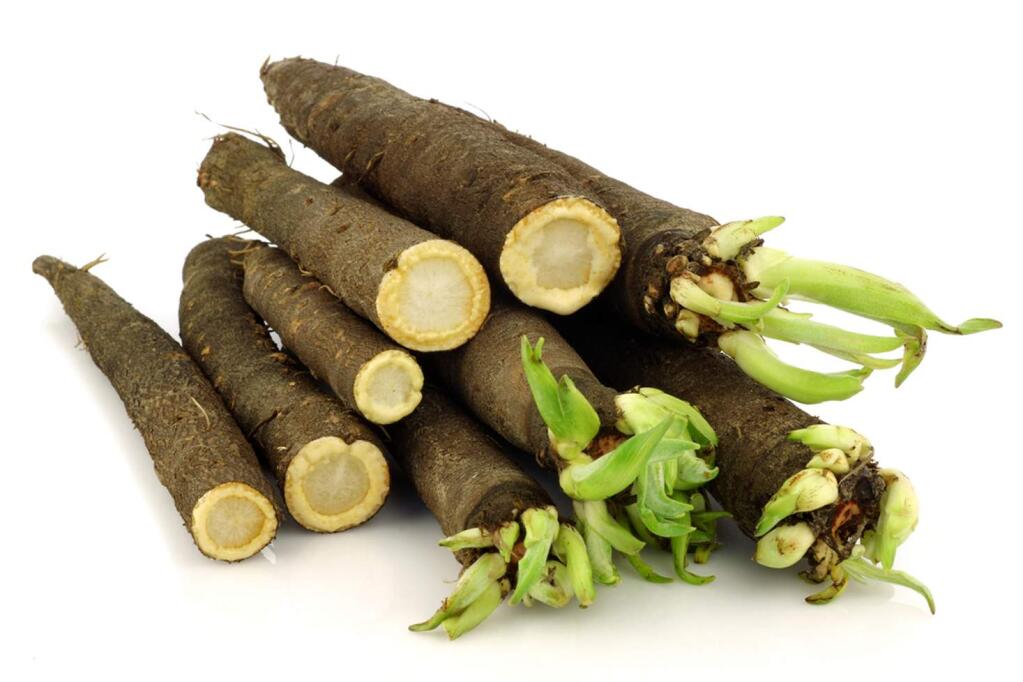 Salsify, sometimes called oyster plant or vegetable oyster, is a pale-skinned root, high in fiber, that looks like a long, weird carrot. (Shutterstock.com)