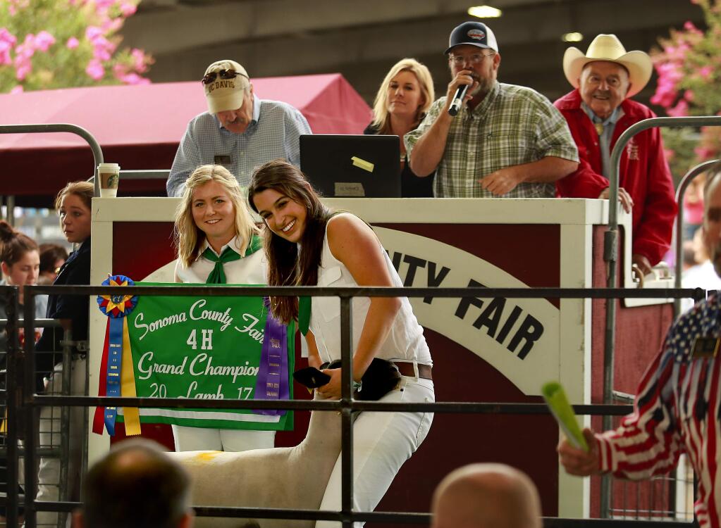 Grace Novella, with the Forestville 4-H, shows her 4-H Grand Champion lamb at the Sonoma County Fair Junior Livestock Auction on Saturday while Sophia Bianci holds her banner and ribbons. (photo by John Burgess/The Press Democrat)