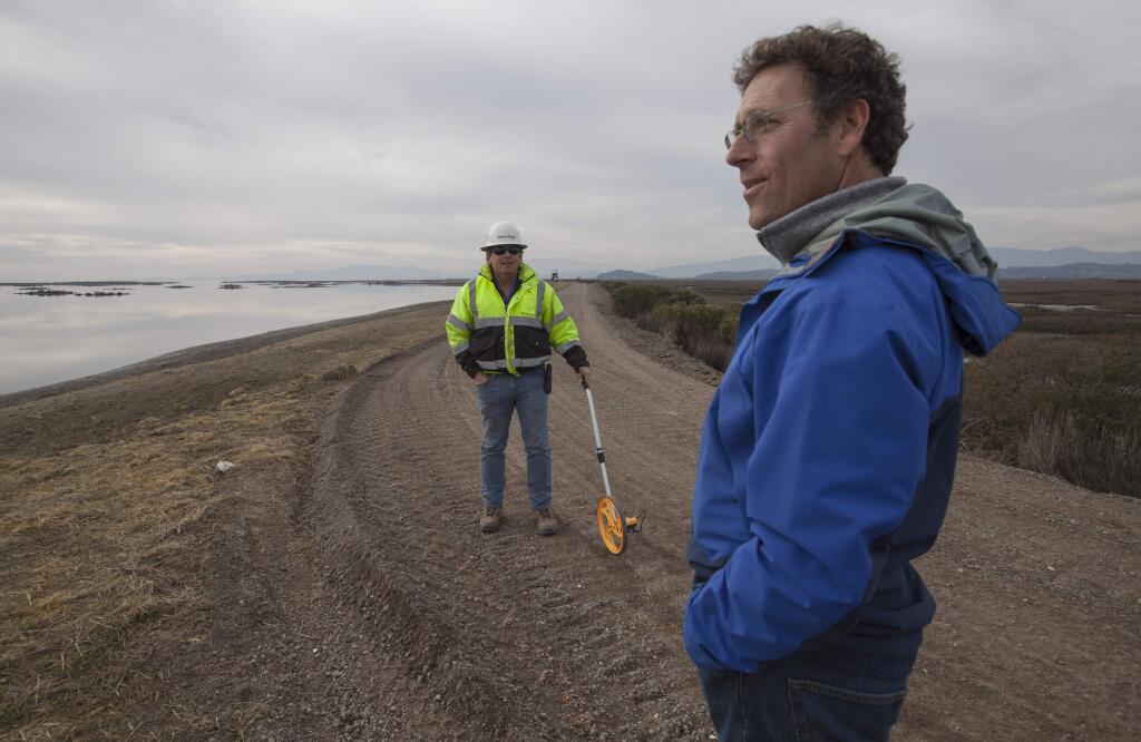 In October, the Sonoma Land Trust breached the levee holding back water from the bay. Now, the tidal basin has been restored, and running alongside it will be a 2.5-mile addition to the San Francisco Bay Trail.