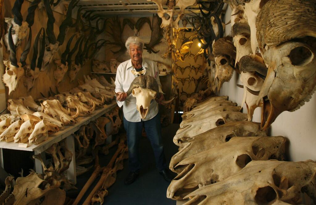 In this Jan. 17, 2007 photo, biologist Ray 'Bones' Bandar holds one of his 6,000 animal skulls in the basement of his home in San Francisco. Bandar, a retired high school science teacher has died. He was 90. Bandar died from congestive heart failure on Dec. 23, 2017, at his home. (Deanne Fitzmaurice /San Francisco Chronicle via AP)