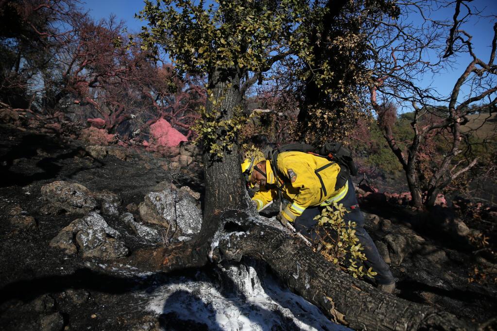 Cal Fire firefighter Marcus Fletcher sprays foam on burning tree stumps after the Fremont fire near Sonoma, Calif., on Wednesday, Sept. 22, 2021. (Beth Schlanker / The Press Democrat)