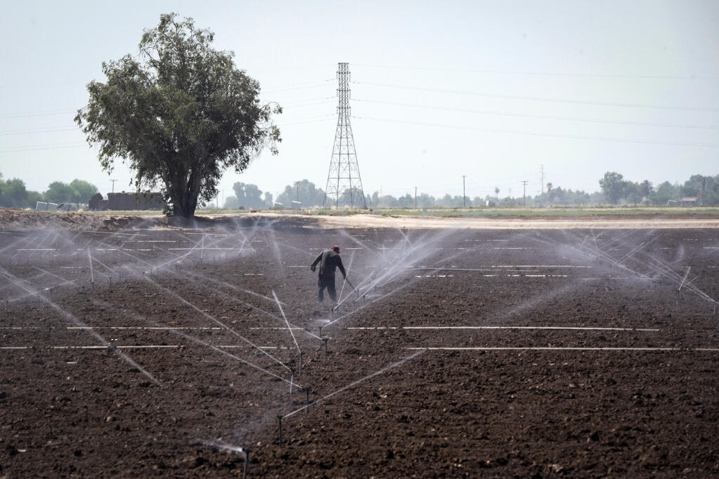 A farmworker works on land irrigated by sprinklers in El Centro on May 29, 2020. REUTERS/Bing Guan