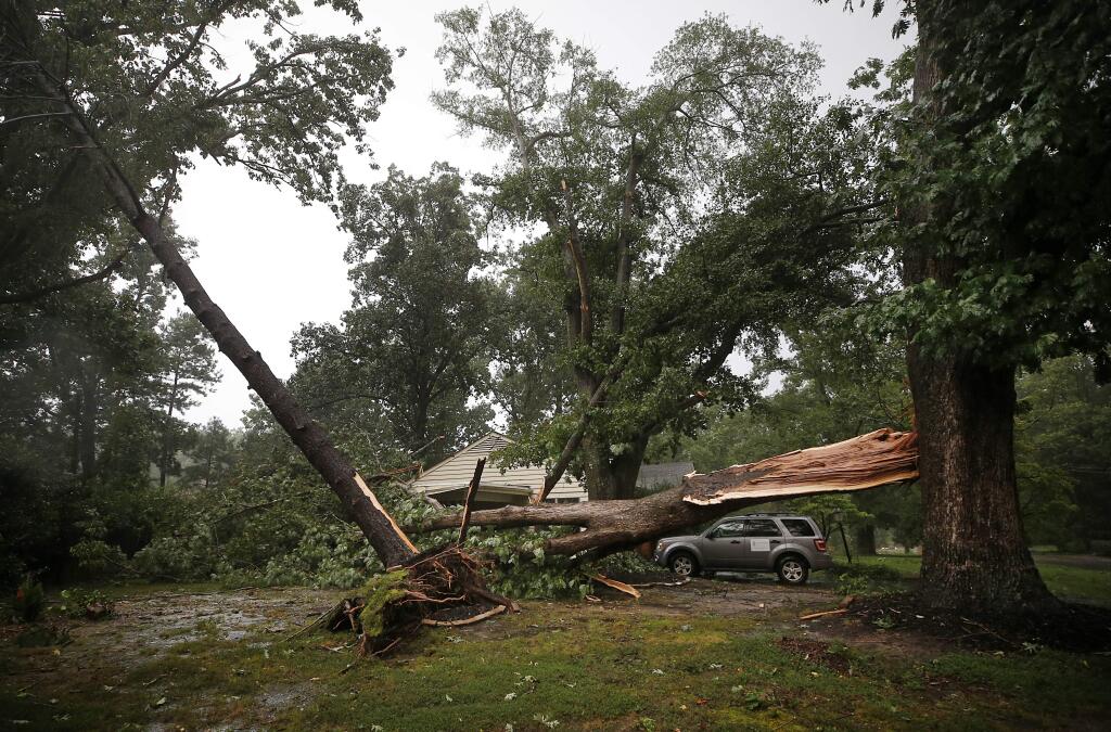 Trees are scattered across the ground after an apparent tornado touched down in Henrico County, Va., Monday, Sept. 17, 2018. Virginia Department of Emergency Management spokesman Jeff Caldwell said his agency considers the storms part of Hurricane Florence, and the tornado still need to be confirmed by the National Weather Service. (Alexa Welch Edlund/Richmond Times-Dispatch via AP)