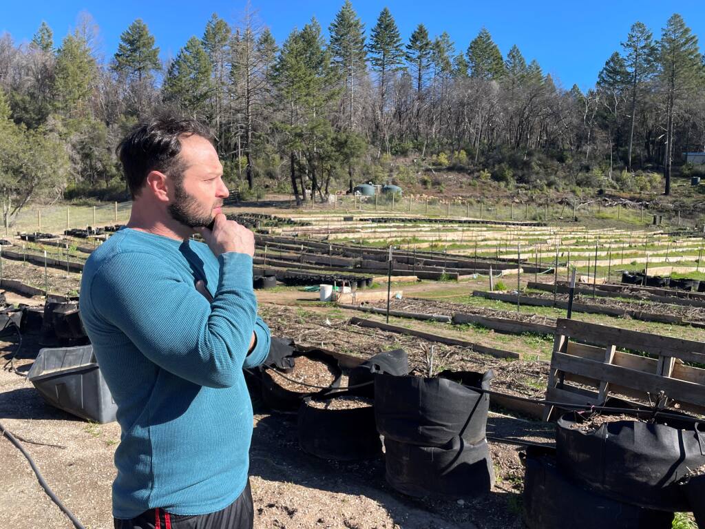 Looking over his empty beds, cannabis farmer Doug Gardner said he may not try to grow another crop of cannabis due to the burden of Sonoma County’s cannabis cultivation tax. (Chase Hunter/Index-Tribune)