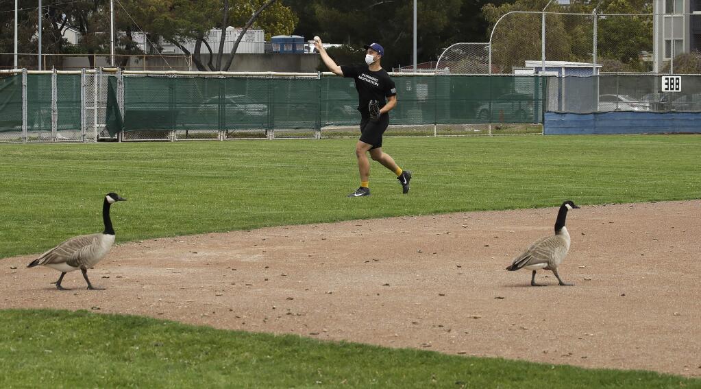 In this photo taken on Friday, April 17, 2020, Milwaukee Brewers minor league player Andre Nnebe throws as Canadian geese take the infield during an informal workout at Willie Stargell Field in Alameda. (AP Photo/Ben Margot)