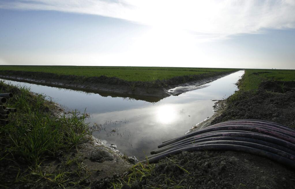 FILE - In this Feb. 25, 2016 file photo, water flows through an irrigation canal to crops near Lemoore, Calif. Farmers in the nation's largest irrigation district are considering whether to sign on to California's biggest water project in a half-century. The Westland Water District is meeting Tuesday, Sept. 19, 2017, in Fresno for a possible vote on its participation in Gov. Jerry Brown's $16 billion twin tunnels project. (AP Photo/Rich Pedroncelli, File)
