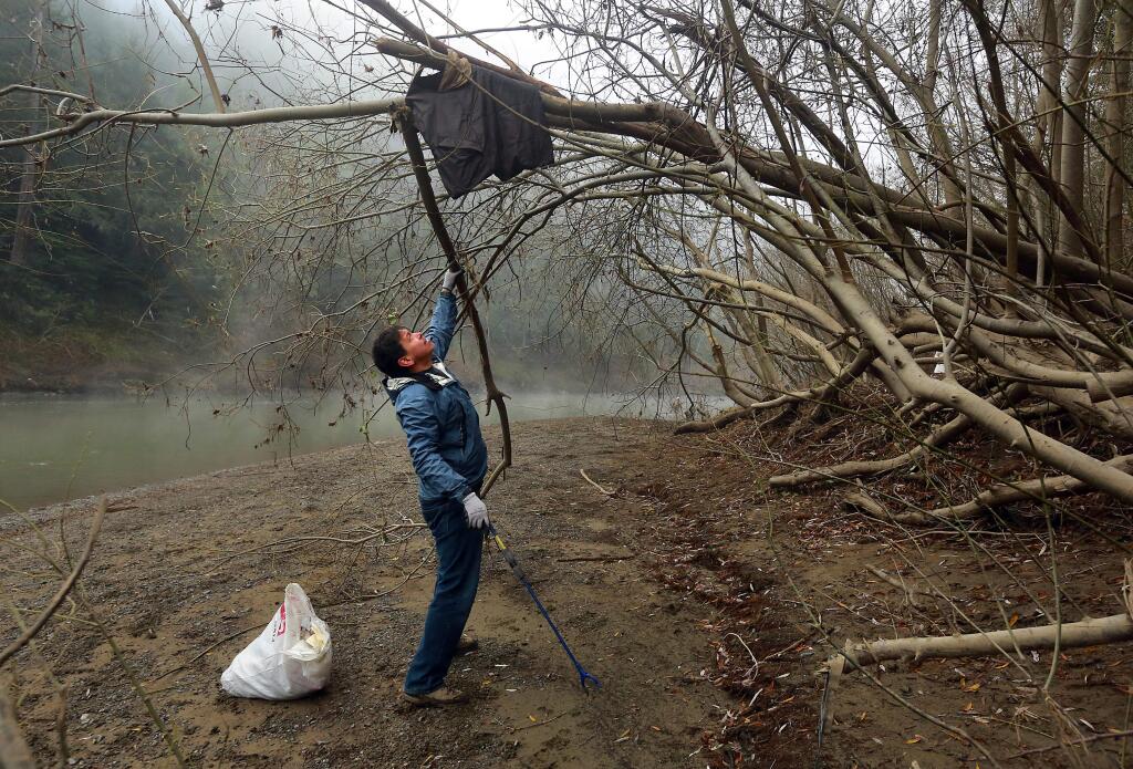 Michael Valenzuela of Guerneville tries to remove a jacket caught in a tree in the recent floods during a clean up effort along the Russian River in Guerneville sponsored by the Russian Riverkeeper. (photo by John Burgess/The Press Democrat)