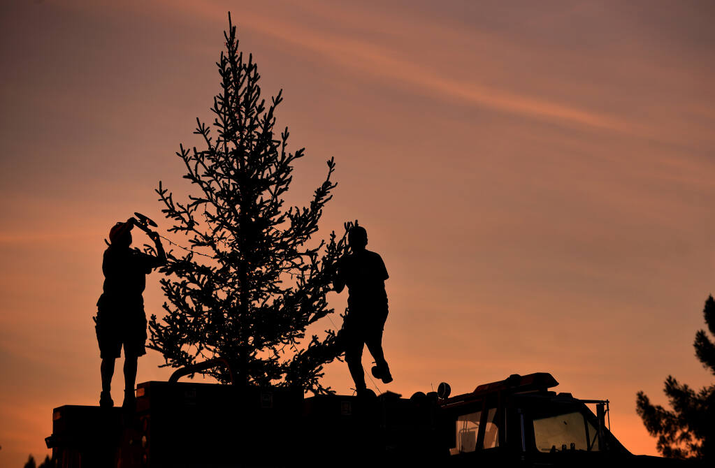 Linda Lucia, left, and Heather O'Dell place lights on a Christmas tree, Wednesday, Nov. 24, 2021, placed on top of an old Graton fire engine.  O'Dell manages the Graton Fire Department's tree farm.  (Kent Porter / The Press Democrat) 2021