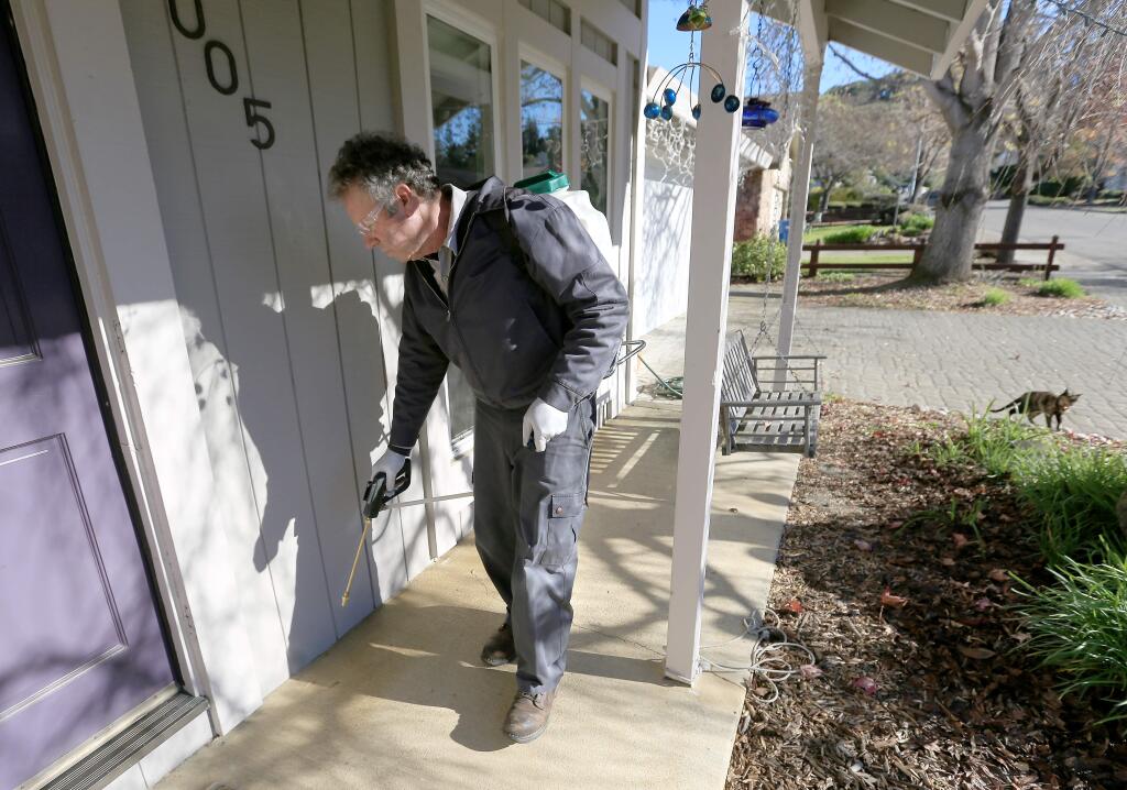 New West Pest Control agent Steve Pasquale sprays along the exterior of a Petaluma home while treating the area for ants. (Kent Porter / Press Democrat)