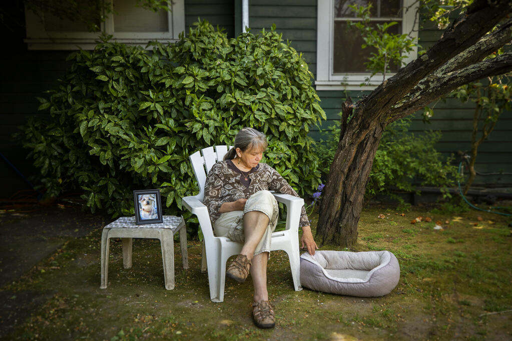 Susan Standen sits in the backyard of her Santa Rosa home with a photo and the bed of her dog, Baby Ruth, who was attacked and killed by a pit bull while on a walk last February.  Authorities have seized the dog from the owner and are seeking a vicious dog designation.  (John Burgess/The Press Democrat)