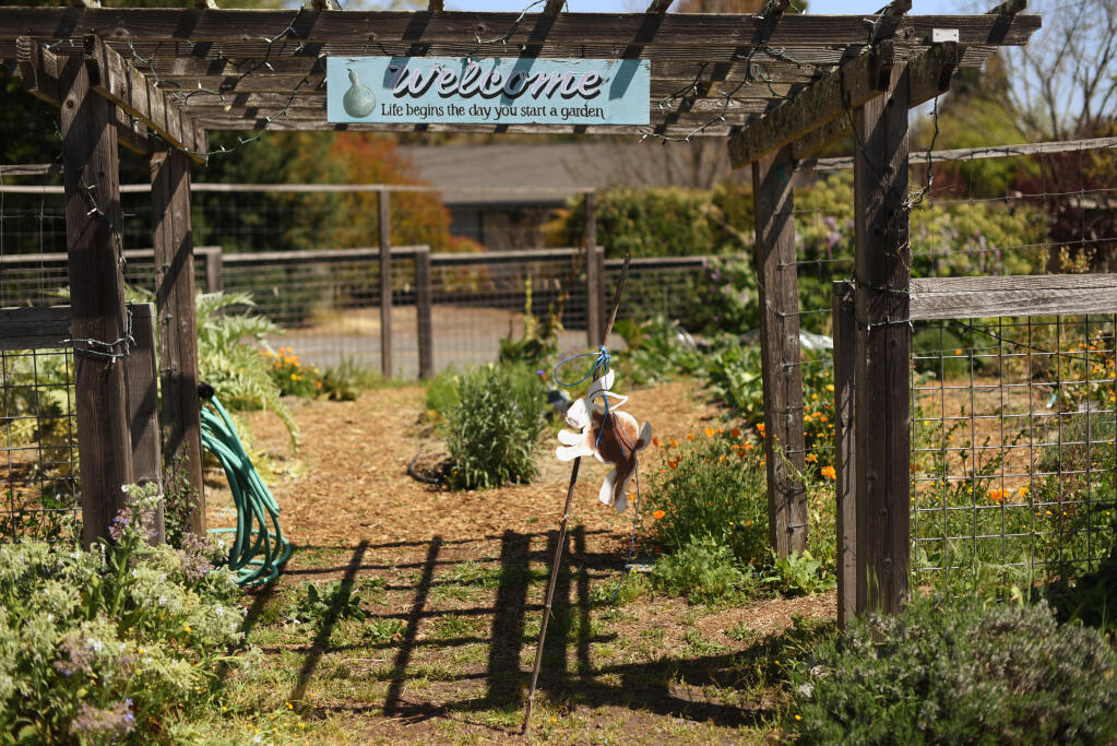 The Food For Thought garden in Forestville on Thursday, April 13, 2021. (Erik Castro / For The Press Democrat)