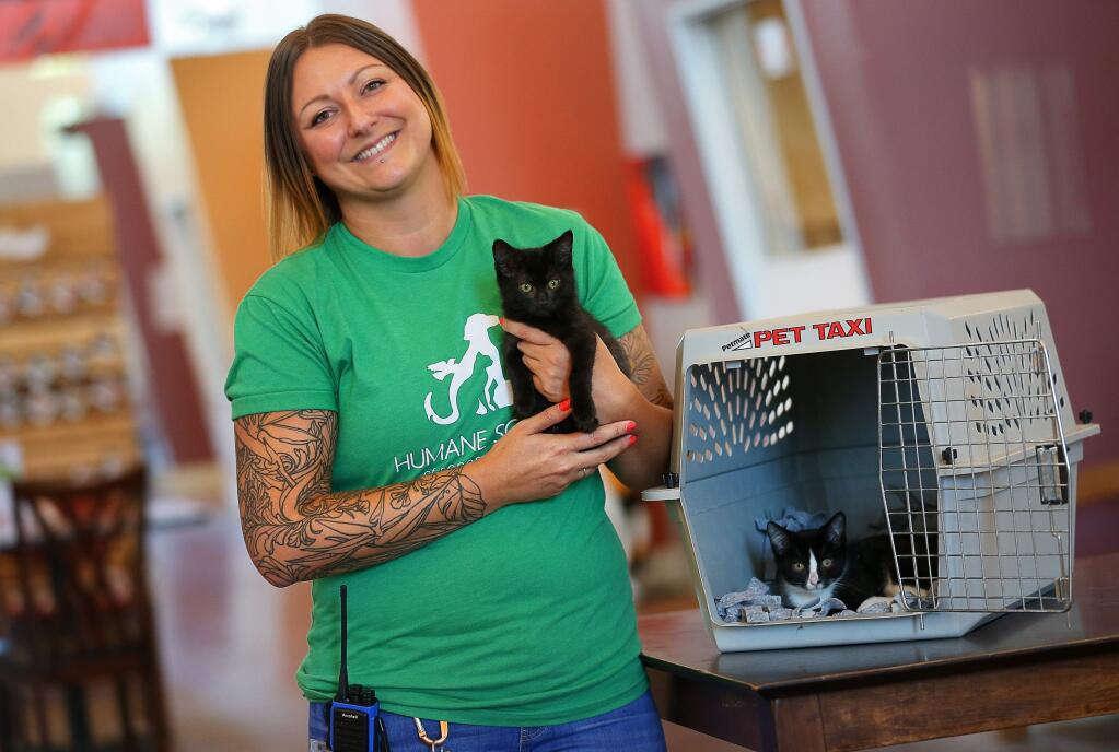 Lindsay McCall, director of animal care at the Humane Society of Sonoma County, recommends having an assembled pet carrier, backup set of equipment, medications, and food and water to last a few days as part of a pet go-bag to be ready for the next disaster.(Christopher Chung/ The Press Democrat)