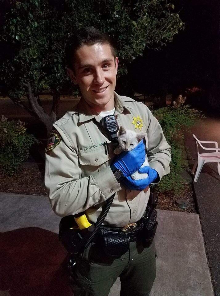 Deputy Woodworth and the kitten he rescued from the highway on Sunday, July 23, 2017. (SONOMA COUNTY SHERIFF OFFICE/ FACEBOOK)