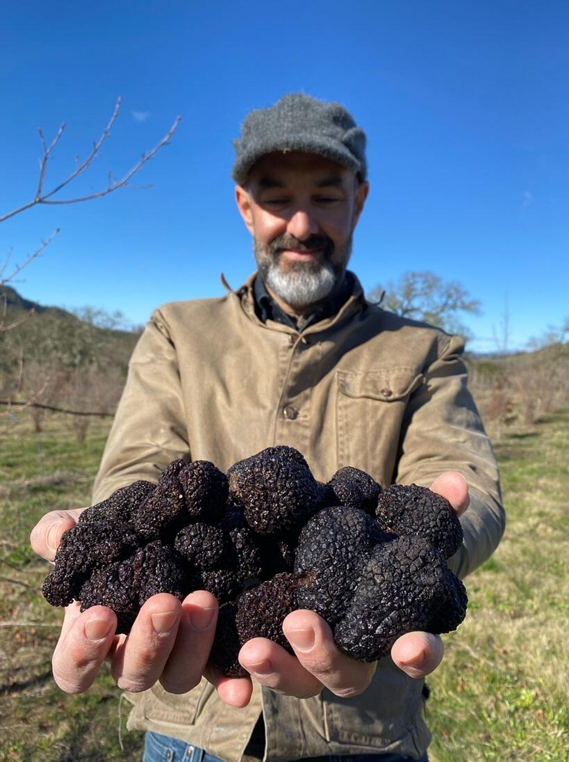Tucker Taylor, director of Kendall Jackson’s “culinary gardens,” shows off a very rich harvest of  Black Périgord truffles. (Pedro Rusk / Jackson Family Wines)