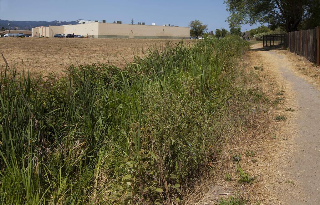 Protection of a sensitive wetland area would potentially cause Safeway to seek 'relief' from an expansion's required housing element, should a proposal go forward. (Photo by Robbi Pengelly/Index-Tribune)