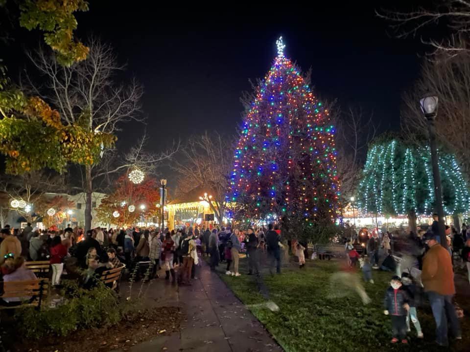 The Sebastopol Tree Lighting Ceremony brings the community out to the Sebastopol Plaza. Photo courtesy Sebastopol Chamber of Commerce.