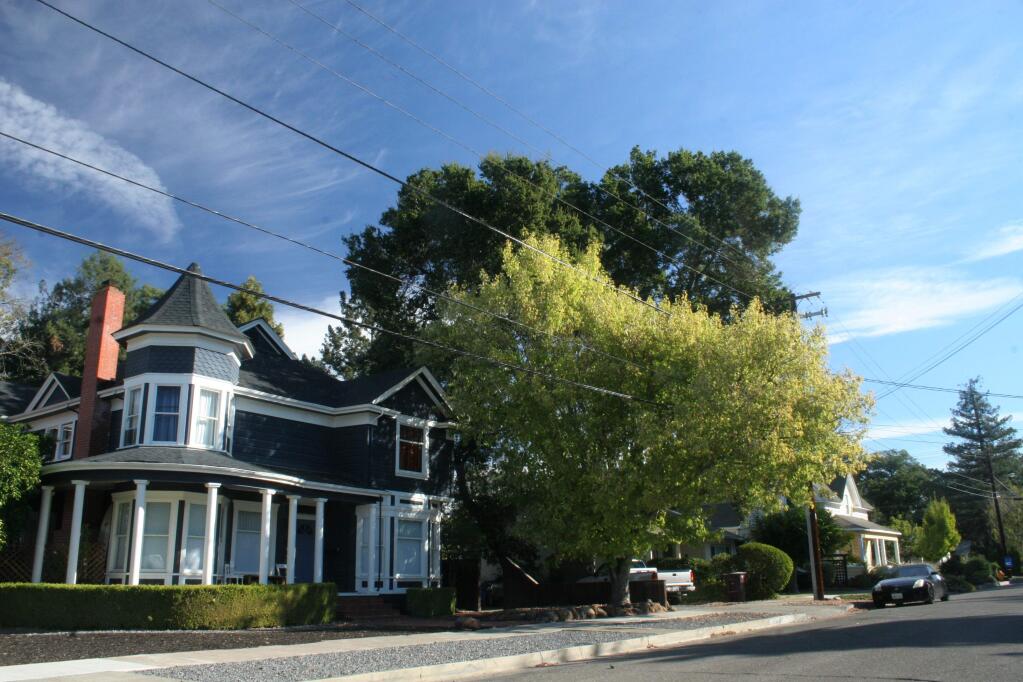 Just one block southeast of downtown Healdsburg, Tucker Street is a desireable neighborhood of older homes on a tree-lined street. (Christian Kallen/Sonoma Index-Tribune)