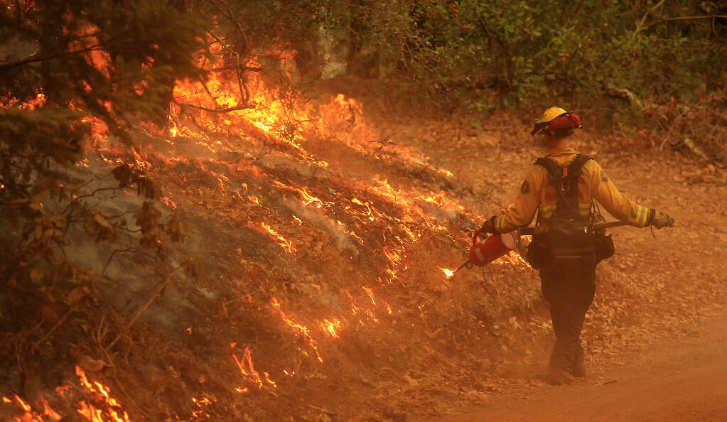 A firefighter drip torches unburned vegetation to meet the slowly backing head of the Glass fire, in Trione-Annadel State Park, Tuesday, Sept. 29, 2020. (Kent Porter / The Press Democrat) 2020