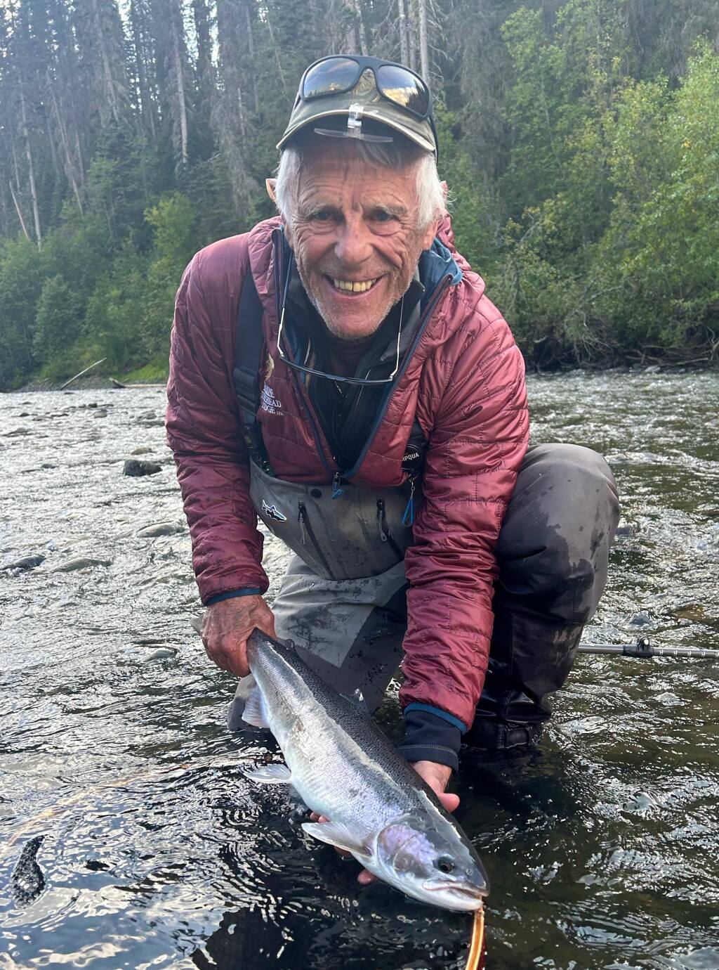 Steve Kyle caught and released this very fresh steelhead while fly-fishing in British Columbia last week. It was the only fish he hooked, but he did manage to bury his hook into his right ear, which gave him a nice pirate look. Unfortunately, there were no parrots to place on his shoulder, so he removed the hook before returning to Sonoma. (submitted photo)