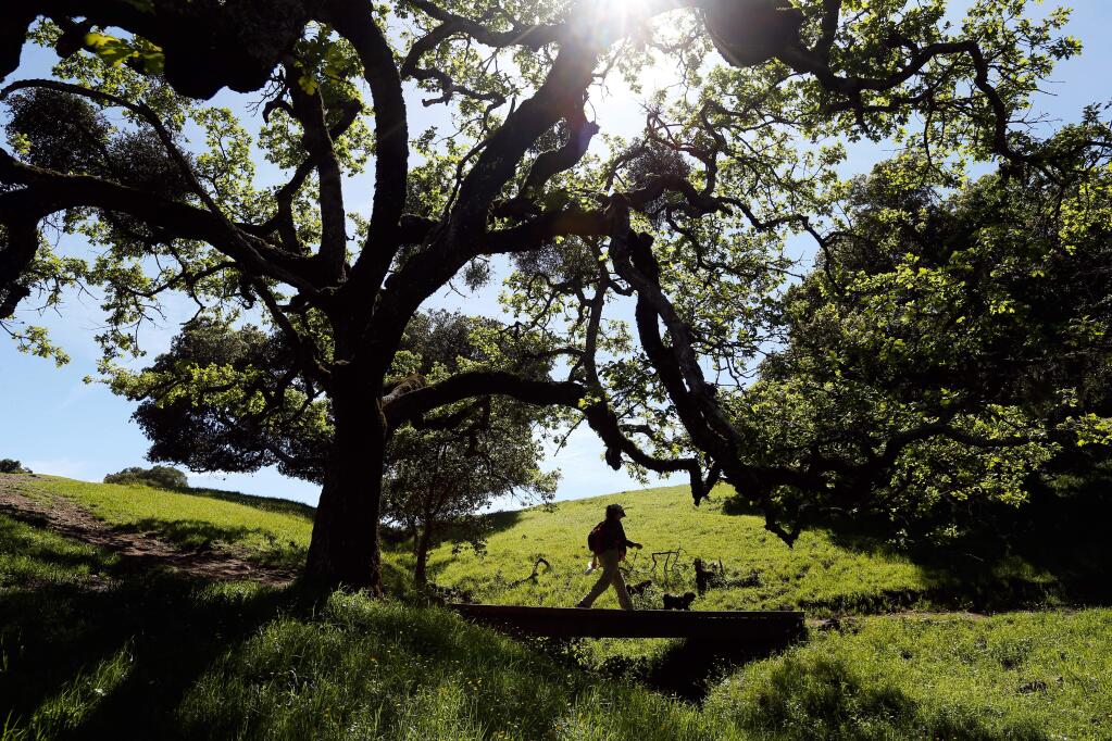 Peri Olsson takes her dog Teddy on a walk at Taylor Mountain Regional Park and Open Space Preserve in Santa Rosa on Wednesday, March 23, 2016. Click through to see the other California cities that made the list of top 100 places to live in the U.S. (Alvin Jornada / The Press Democrat)
