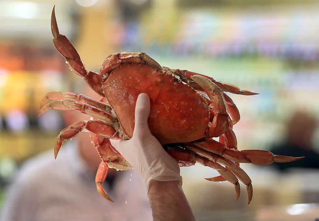 FILE - A dungeness crab at Oliver's Market in Santa Rosa, Thursday Nov. 17, 2016. (Kent Porter / The Press Democrat)
