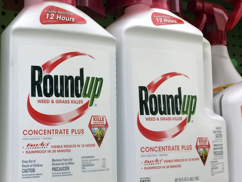FILE - This Jan. 26, 2017 file photo shows containers of Roundup, a weed killer made by Monsanto, on a shelf at a hardware store in Los Angeles. A San Francisco jury's $289 million verdict in favor of a school groundskeeper who says Roundup weed killer caused his cancer will face its first court test. Agribusiness giant Monsanto will argue at a hearing on Wednesday, Oct. 10, 2018 that Judge Suzanne Bolanos should throw out the verdict in favor of DeWayne Johnson. (AP Photo/Reed Saxon, File)