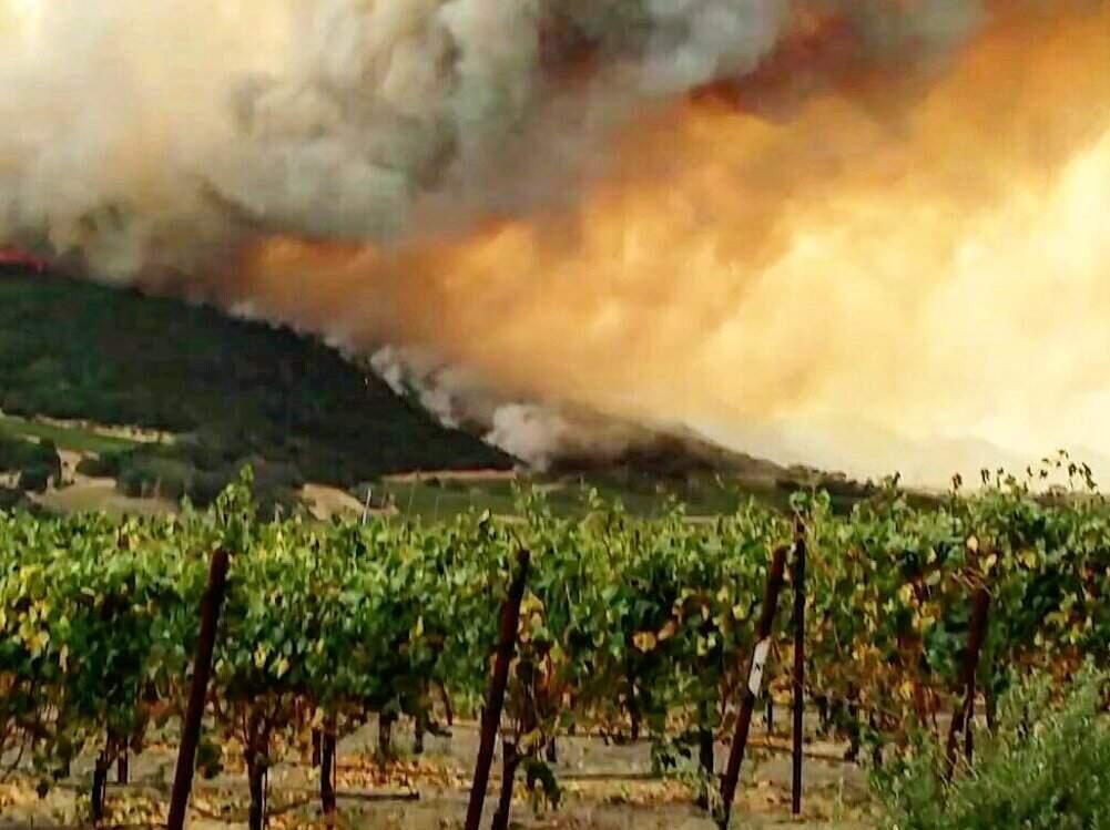 Fire burns behinds the Gundlach Bundschu Winery in Sonoma on Monday, Oct. 9, 2017. (@KATEKISSET)