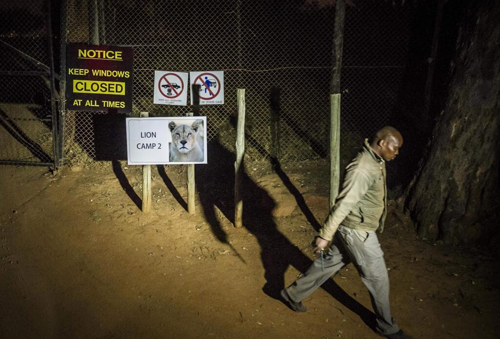 A man walks past warning signs at the Lion Park, near Johannesburg, Monday June 1, 2015 where a lion killed an American woman and injured a man driving through a private wildlife park a park official said. The attack occurred when a lioness approached the passenger side of the vehicle as the woman took photos and then lunged, said Scott Simpson, assistant operations manager at the Lion Park. (AP Photo) SOUTH AFRICA OUT