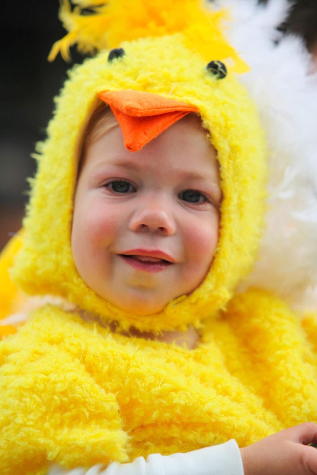 Carmela Geyer, 6 months, at The Cutest Little Chick In Town Contest held on Saturday, April 25, 2015. (Victoria Webb/For The Argus-Courier)