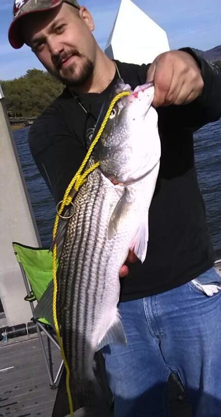 Submitted photoRONNY JACOBSEN caught this 27-inch striped bass fishing at Cuttings Wharf on the Napa River last weekend.