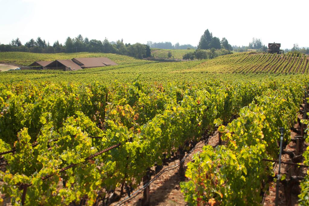 Dehlinger Winery near Sebastopol is situated on an outstanding vineyard site that has received extraordinary care and attention.