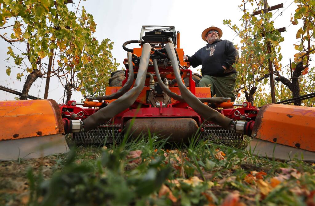Phil Coturri, owner of Enterprise Vineyards, employs a dual-sided weed eater instead of chemical weed killers, such as Roundup, to combat weeds on the vineyards that he manages.(Christopher Chung/ The Press Democrat)