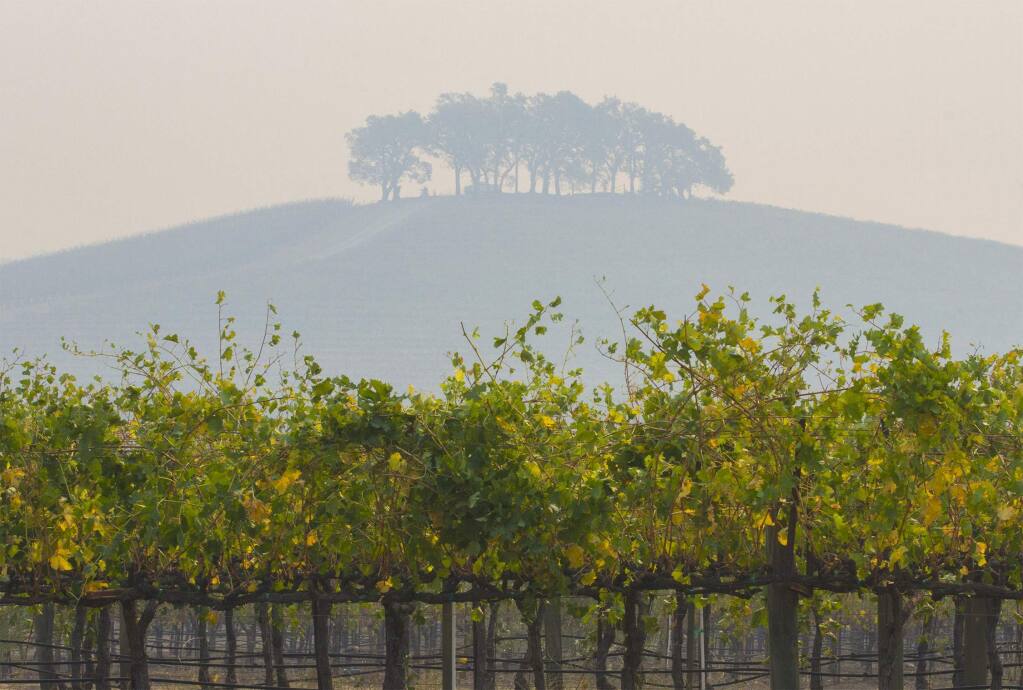 A hilltop on the Kunde Family winery estate. A blanket of smoke in October 2017 made the distant hills appear somewhat ethereal. (Photo by Robbi Pengelly/Index-Tribune)