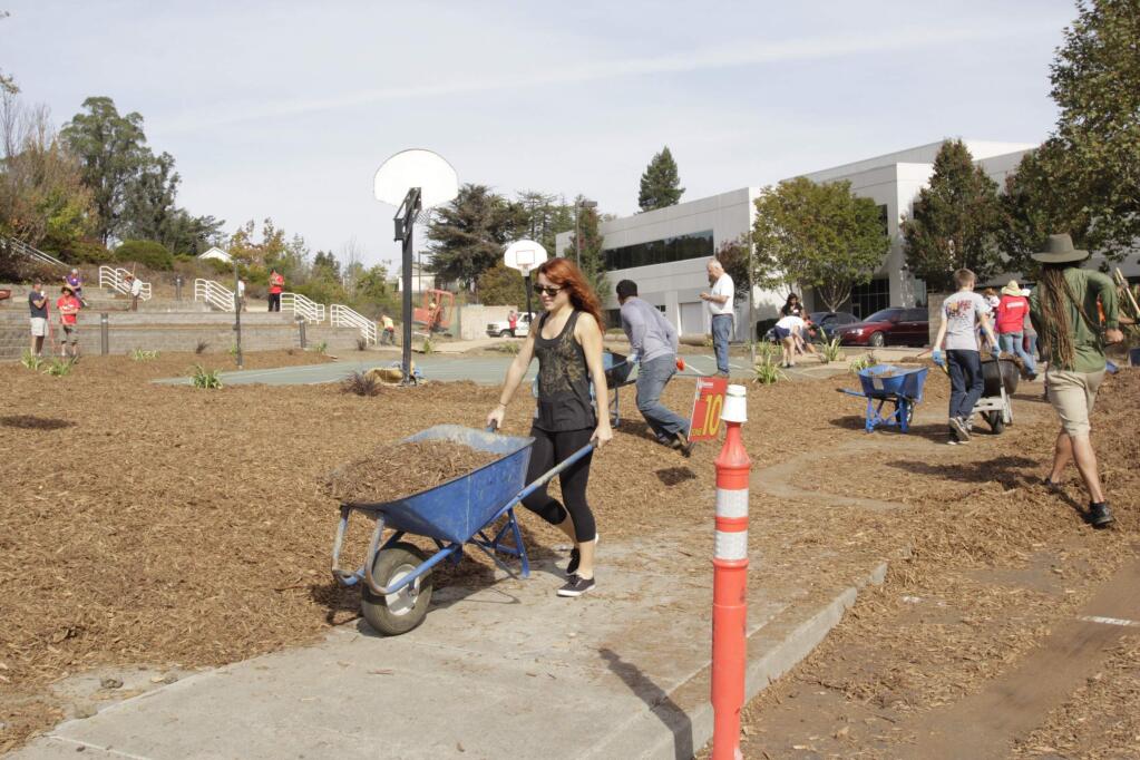 Danielle Castleberry of Santa Rosa working hard at the Mulchstock 2015: the Largest Peaceful Lawn Transformation on Record held on October 24, 2015 inPetaluma's Redwood Business Park. (Jim Johnson/For the Argus-Courier)