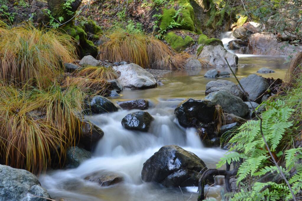 Water photography challenges the eye and the equipment of any photographer, as participants in Sugarloaf's March 17 photography hike will learn. (Bob Young/Sugarloaf)