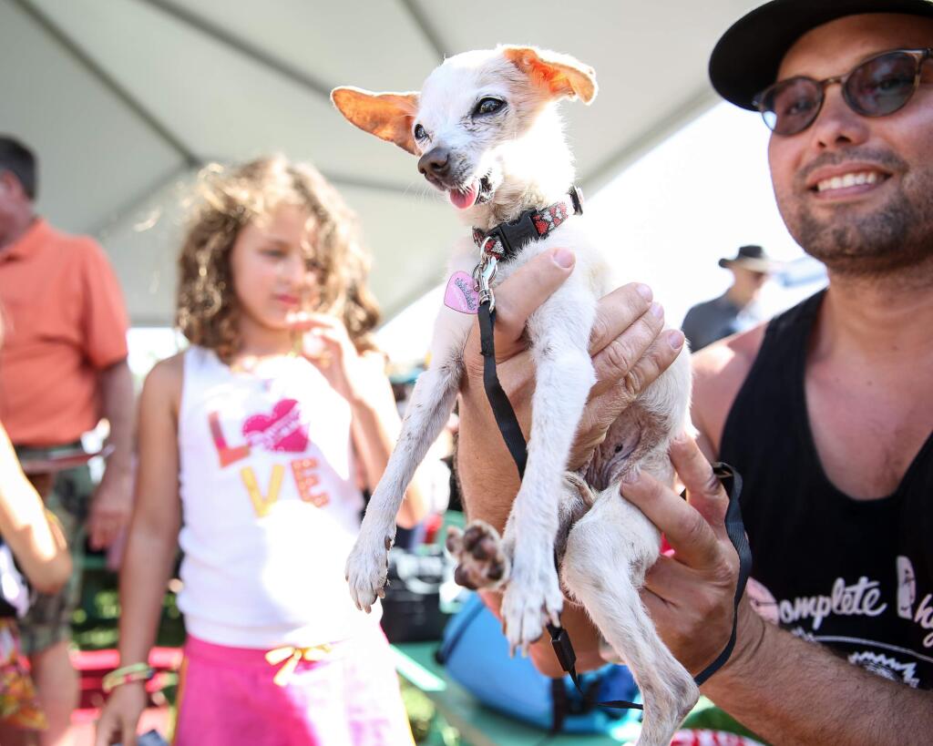 Troy Salyers, with contestant Addie, before the start of the 2014 World's Ugliest Dog Contest at the Sonoma-Marin Fair in Petaluma on Friday, June 20, 2014.