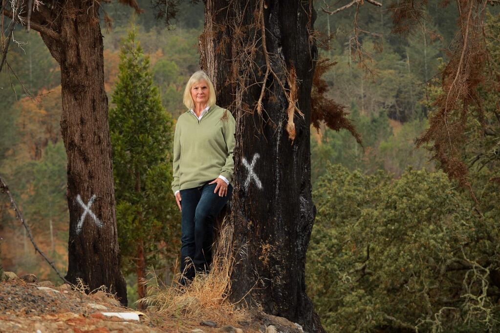 Sonoma County Supervisor Susan Gorin was the only elected official to lose her home in the October 2017 wildfires. She has left a few burnt trees on the property with the hope of creating art from the wood. (photo by John Burgess/The Press Democrat)