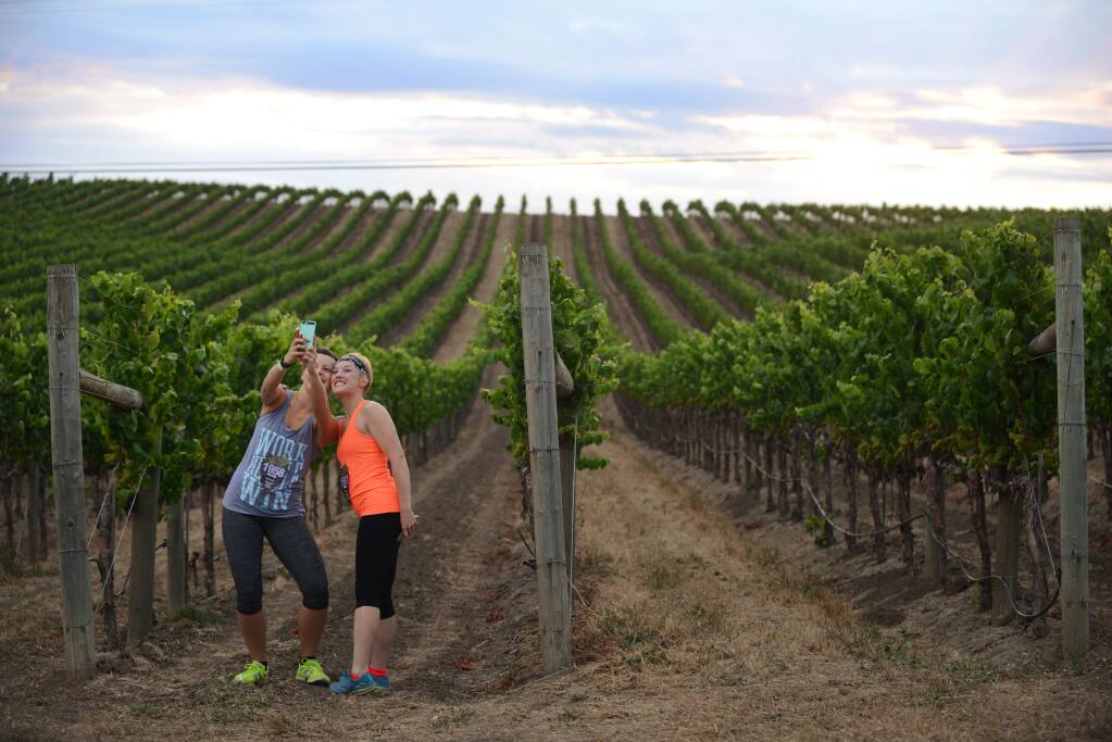 Those who visit Sonoma County and its surrounding areas tend to have a few common things they say or do while they're here. Click through the gallery to see if you recognize these familiar tourist traits. Here, tourists are known to stop or slow way down to take pictures of every vineyard they pass. (Photo: Erik Castro/for The Press Democrat)