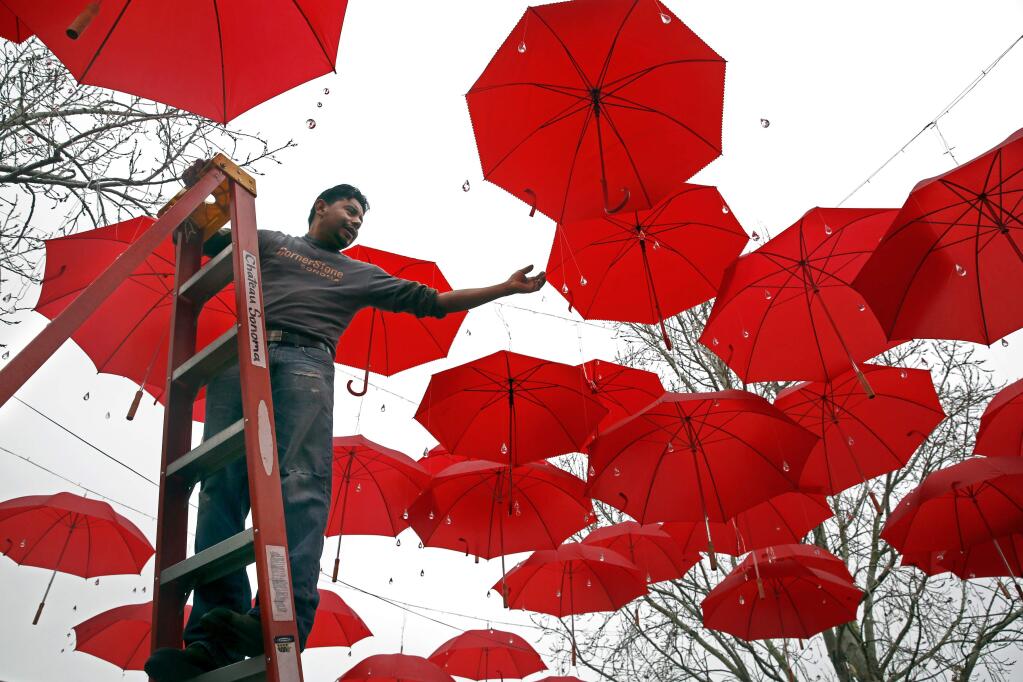 Employee Miguel Alvarez makes adjustments the holiday display of red umbrellas and hanging crystals at Cornerstone Sonoma on Tuesday, December 8, 2015 in Sonoma, California . (BETH SCHLANKER/ The Press Democrat)